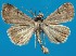  ( - FG027)  @13 [ ] Unspecified (default): All Rights Reserved  Unspecified Unspecified