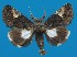  ( - FG029)  @13 [ ] Unspecified (default): All Rights Reserved  Unspecified Unspecified