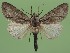  ( - FG003)  @14 [ ] Unspecified (default): All Rights Reserved  Unspecified Unspecified