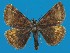  ( - FG032)  @11 [ ] Unspecified (default): All Rights Reserved  Unspecified Unspecified