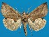  ( - FG035)  @14 [ ] Unspecified (default): All Rights Reserved  Unspecified Unspecified