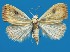 ( - FG039)  @13 [ ] Unspecified (default): All Rights Reserved  Unspecified Unspecified