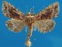  ( - FG047)  @14 [ ] Unspecified (default): All Rights Reserved  Unspecified Unspecified