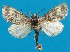  ( - FG006)  @13 [ ] Unspecified (default): All Rights Reserved  Unspecified Unspecified