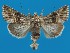  ( - FG063)  @14 [ ] Unspecified (default): All Rights Reserved  Unspecified Unspecified