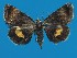  ( - FG072)  @11 [ ] Unspecified (default): All Rights Reserved  Unspecified Unspecified