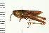  ( - 08BBORTH-0179)  @14 [ ] CreativeCommons - Attribution (2008) Unspecified Centre for Biodiversity Genomics