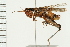  ( - 08BBORTH-0181)  @14 [ ] CreativeCommons - Attribution (2008) Unspecified Centre for Biodiversity Genomics