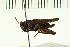  ( - ORTH 0038.02)  @14 [ ] CreativeCommons - Attribution (2008) Unspecified Centre for Biodiversity Genomics