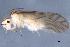  ( - 08TTML-2751)  @13 [ ] CreativeCommons - Attribution (2010) CBG Photography Group Centre for Biodiversity Genomics