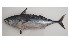  ( - Eafkcn)  @12 [ ] Unspecified (default): All Rights Reserved  Unspecified Unspecified