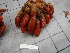 ( - SPN13-072)  @12 [ ] CreativeCommons - Attribution Non-Commercial Share-Alike (2013) SAIAB SAIAB