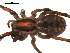  ( - 01-KADIR-G08)  @12 [ ] CreativeCommons - Attribution  Gergin Blagoev, Centre for Biodiversity Genomics Centre for Biodiversity Genomics