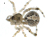  ( - 02-KADIR-G06)  @12 [ ] CreativeCommons - Attribution  Gergin Blagoev, Centre for Biodiversity Genomics Centre for Biodiversity Genomics