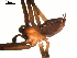  ( - 03-KADIR-D09)  @12 [ ] CreativeCommons - Attribution  Gergin Blagoev, Centre for Biodiversity Genomics Centre for Biodiversity Genomics