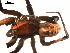  ( - 03-KADIR-H07)  @12 [ ] CreativeCommons - Attribution  Gergin Blagoev, Centre for Biodiversity Genomics Centre for Biodiversity Genomics