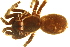  ( - 04-KADIR-C01)  @12 [ ] CreativeCommons - Attribution (2010) Gergin Blagoev, Centre for Biodiversity Genomics Centre for Biodiversity Genomics