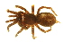  ( - 04-KADIR-C03)  @13 [ ] CreativeCommons - Attribution (2010) Gergin Blagoev, Centre for Biodiversity Genomics Centre for Biodiversity Genomics