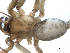  ( - 04-KADIR-E10)  @12 [ ] CreativeCommons - Attribution (2010) Gergin Blagoev, Centre for Biodiversity Genomics Centre for Biodiversity Genomics