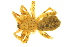  ( - 05-KADIR-A12)  @12 [ ] CreativeCommons - Attribution (2010) Gergin Blagoev, Centre for Biodiversity Genomics Centre for Biodiversity Genomics