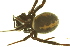  ( - 05-KADIR-D05)  @12 [ ] CreativeCommons - Attribution (2010) Gergin Blagoev, Centre for Biodiversity Genomics Centre for Biodiversity Genomics