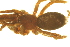  ( - 05-KADIR-E01)  @13 [ ] CreativeCommons - Attribution (2010) Gergin Blagoev, Centre for Biodiversity Genomics Centre for Biodiversity Genomics