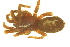  ( - 05-KADIR-E02)  @12 [ ] CreativeCommons - Attribution (2010) Gergin Blagoev, Centre for Biodiversity Genomics Centre for Biodiversity Genomics
