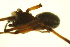 ( - 05-KADIR-F03)  @12 [ ] CreativeCommons - Attribution (2010) Gergin Blagoev, Centre for Biodiversity Genomics Centre for Biodiversity Genomics