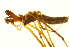  ( - 05-KADIR-H09)  @12 [ ] CreativeCommons - Attribution (2010) Gergin Blagoev, Centre for Biodiversity Genomics Centre for Biodiversity Genomics