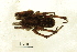  ( - BIOUG00161-E06)  @12 [ ] Copyright  G. Blagoev 2010 Unspecified