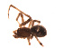  ( - BIOUG00174-A02)  @12 [ ] Copyright  G. Blagoev 2010 Unspecified