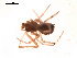  ( - BIOUG00174-B08)  @12 [ ] Copyright  G. Blagoev 2010 Unspecified