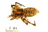  ( - BIOUG00198-C07)  @13 [ ] Copyright  G. Blagoev 2010 Unspecified