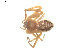  ( - BIOUG00526-G04)  @13 [ ] Copyright  G. Blagoev 2010 Unspecified