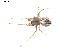  ( - BIOUG00526-G10)  @12 [ ] Copyright  G. Blagoev 2010 Unspecified
