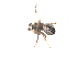  ( - BIOUG00526-G11)  @12 [ ] Copyright  G. Blagoev 2010 Unspecified