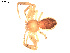  ( - BIOUG00610-D08)  @12 [ ] Copyright  G. Blagoev 2010 Unspecified