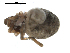  ( - BIOUG00175-E03)  @12 [ ] Copyright  G. Blagoev 2010 Unspecified