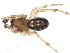  ( - CCDB-08491-G04)  @12 [ ] CreativeCommons - Attribution (2010) Gergin Blagoev, Centre for Biodiversity Genomics Centre for Biodiversity Genomics