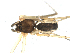  ( - CCDB-08491-H07)  @12 [ ] CreativeCommons - Attribution (2010) Gergin Blagoev, Centre for Biodiversity Genomics Centre for Biodiversity Genomics