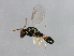  ( - MTCHA-0049)  @14 [ ] CreativeCommons - Attribution (2009) Unspecified Centre for Biodiversity Genomics