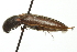  ( - 09PROBE-CV037)  @13 [ ] CreativeCommons - Attribution (2010) CBG Photography Group Centre for Biodiversity Genomics