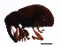  ( - MTCOL-0009)  @13 [ ] CreativeCommons - Attribution (2009) Unspecified Centre for Biodiversity Genomics