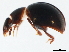 ( - TWCOL-2091)  @13 [ ] CreativeCommons - Attribution (2010) CBG Photography Group Centre for Biodiversity Genomics