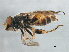 ( - PROBE-TW0021)  @12 [ ] CreativeCommons - Attribution (2009) Unspecified Centre for Biodiversity Genomics