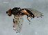 ( - PROBE-TW0030)  @14 [ ] CreativeCommons - Attribution (2009) Unspecified Centre for Biodiversity Genomics