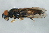  ( - PROBE-TW0032)  @13 [ ] CreativeCommons - Attribution (2009) Unspecified Centre for Biodiversity Genomics