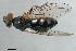  ( - PROBE-TW0034)  @14 [ ] CreativeCommons - Attribution (2009) Unspecified Centre for Biodiversity Genomics