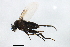  ( - PROBE-TW0098)  @13 [ ] CreativeCommons - Attribution (2009) Unspecified Centre for Biodiversity Genomics