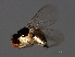  ( - PROBE-TW0127)  @12 [ ] CreativeCommons - Attribution (2009) Unspecified Centre for Biodiversity Genomics